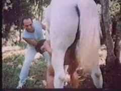 While consuming the penis of her husband's closest ally, the nasty slut wife likes seeing the horse jock from behind.